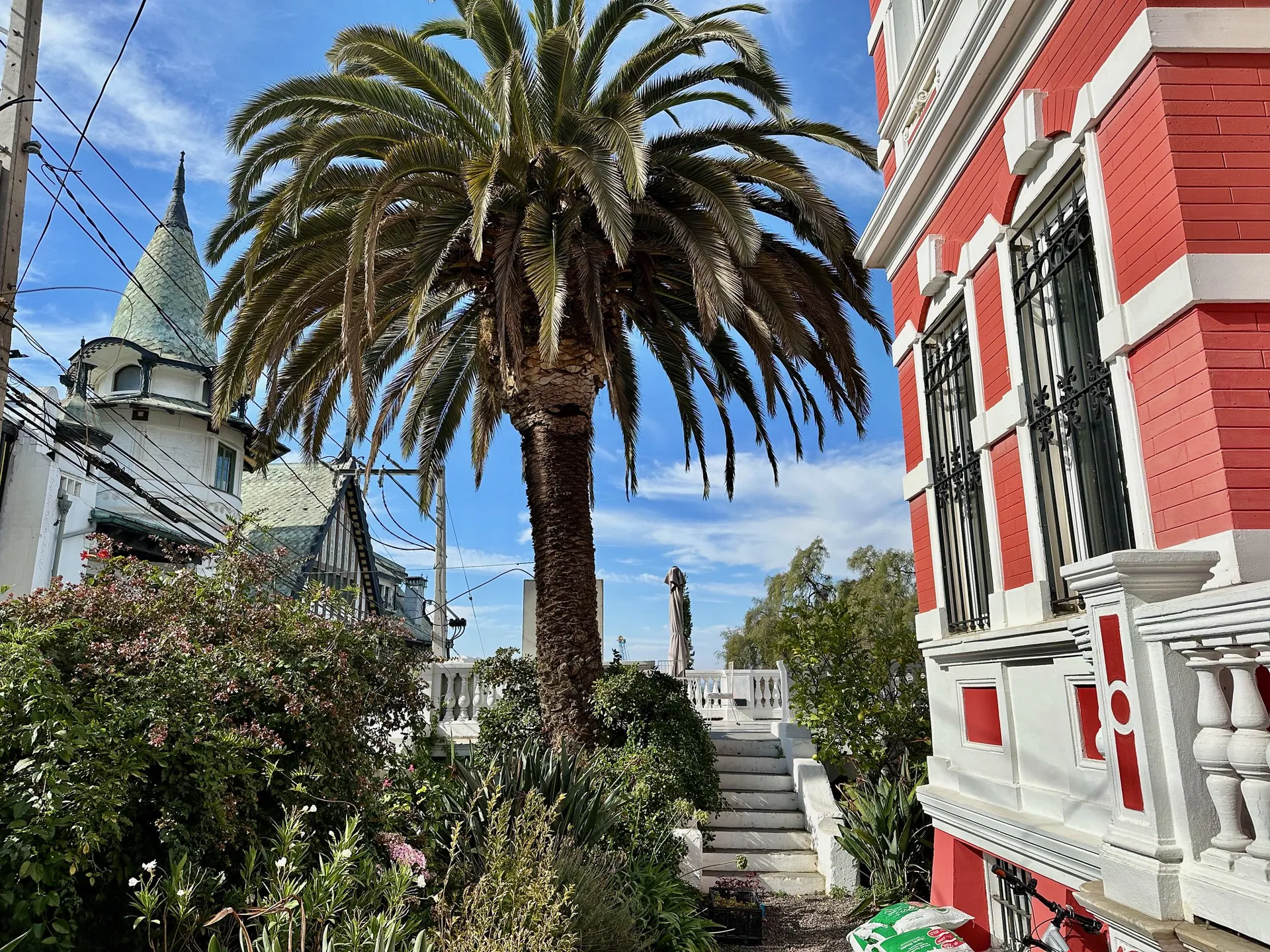 Palmera junto a la fachada roja y la terraza del palacio